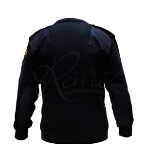 professional-201-2